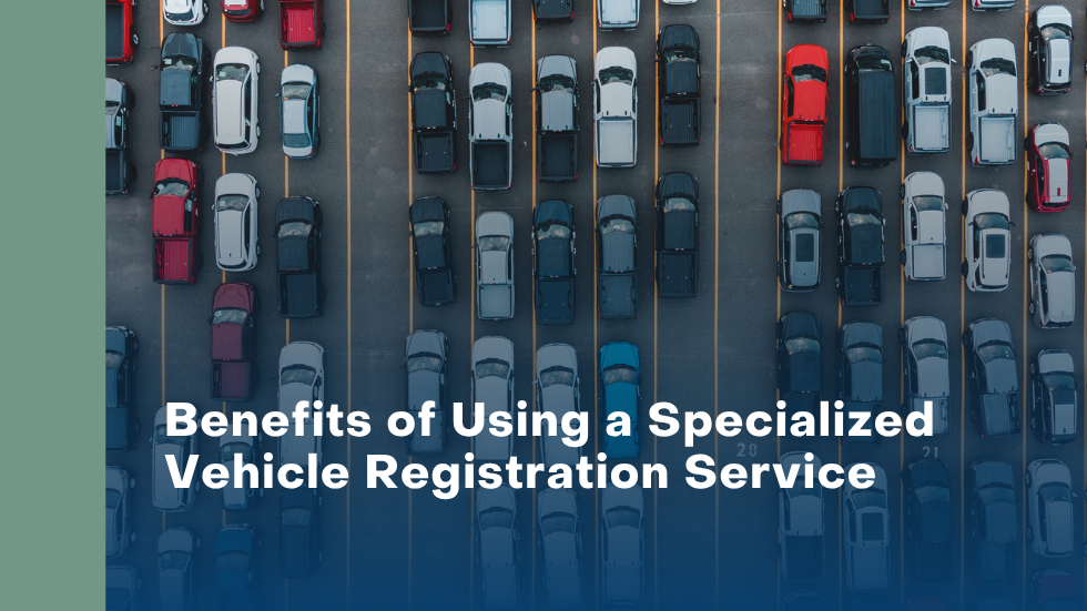 Registration specialist helping a customer complete vehicle paperwork faster and with less stress.